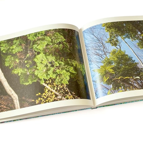 『Rheological Landscapes』寺崎珠真