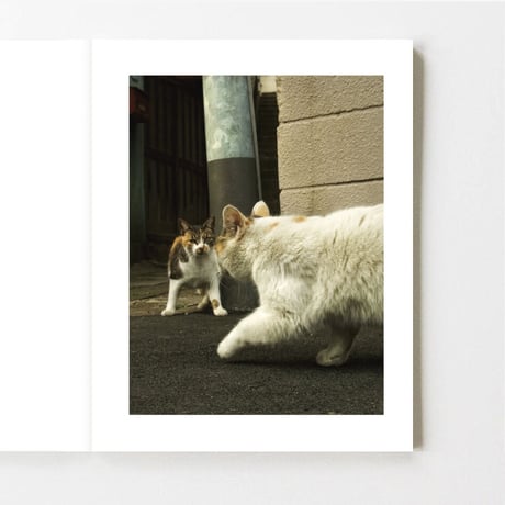 『GA TO Sí?　誕生日の猫は何処？』 横澤進一