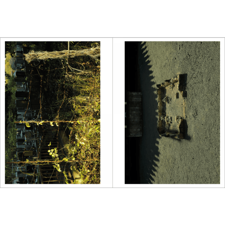 『Where the Graves Lead』横澤進一