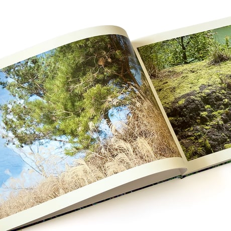 『Rheological Landscapes』寺崎珠真