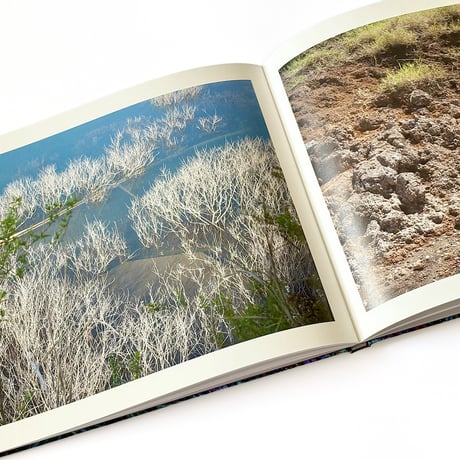 『Rheological Landscapes』寺崎珠真