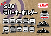 ランドクルーザー250 カラードカウルカバー（塗装済み品） ダブル