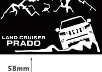 CANガード【GMGロゴVer.】 | GMG ONLINE SHOP