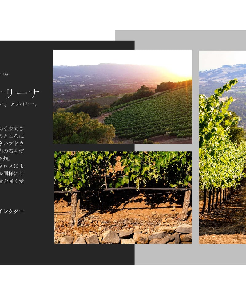 超有名ワインメーカー待望の個人ワイナリー！】リヴァイアサン