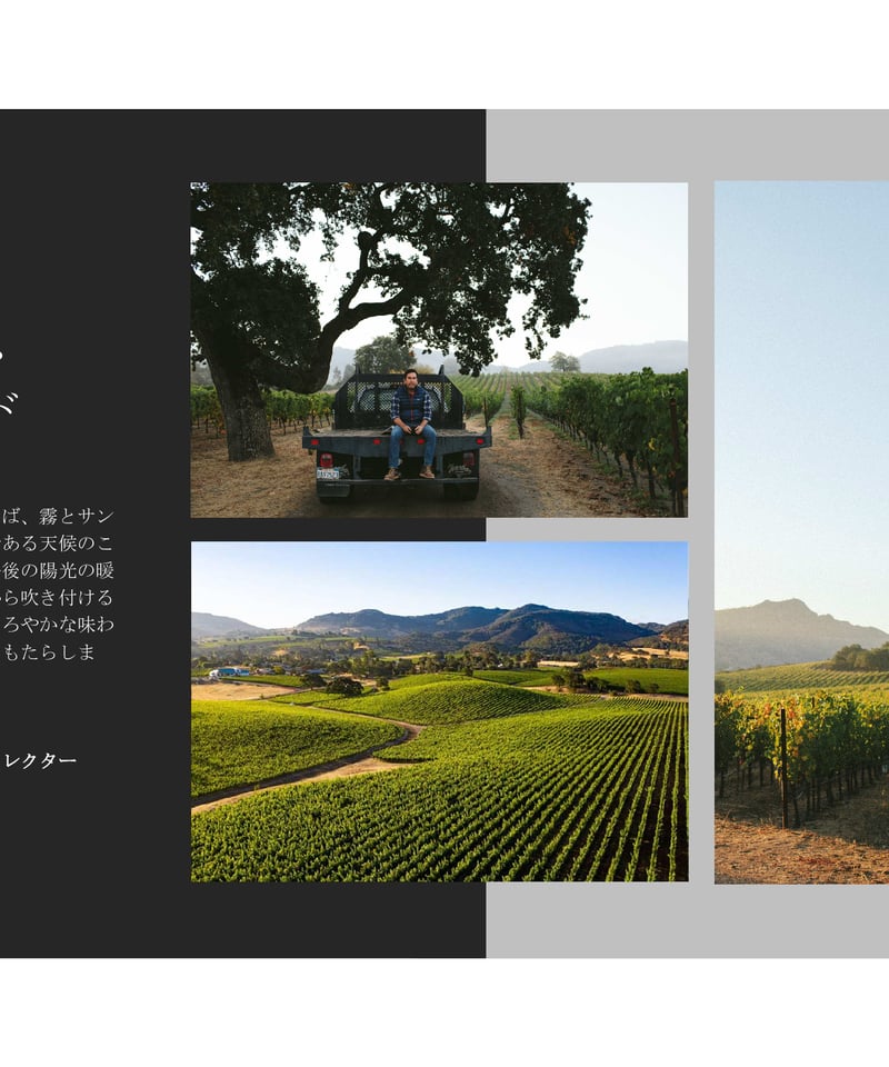 超有名ワインメーカー待望の個人ワイナリー！】リヴァイアサン