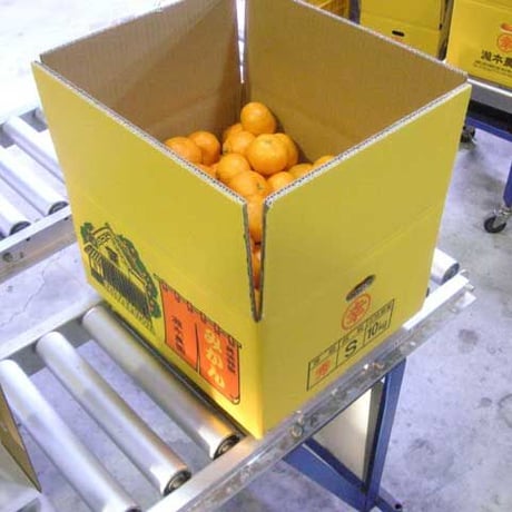 温州みかん　傷の大きい訳アリ品　５ｋｇ
