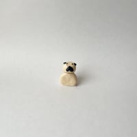 犬こねこね　47