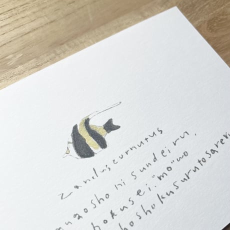 hitoricco さかな図鑑 postcard