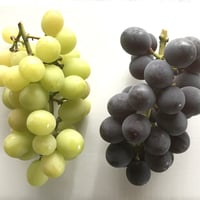 ブラックオリンピア＋シャインマスカット 食べ比べセット