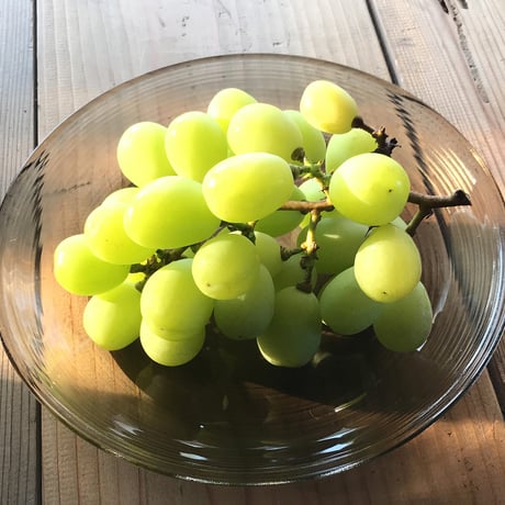 シャインマスカット【白箱　1.0kg　２房入り 】