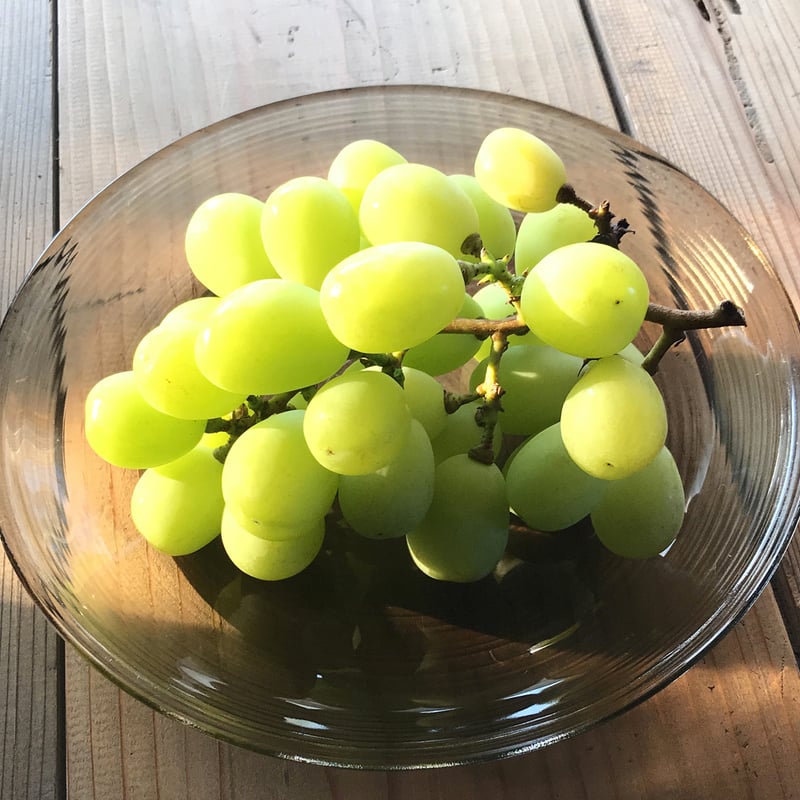 シャインマスカット【白箱 1.7kg 3〜5房入り 】 | たけきん果樹園 PLUS