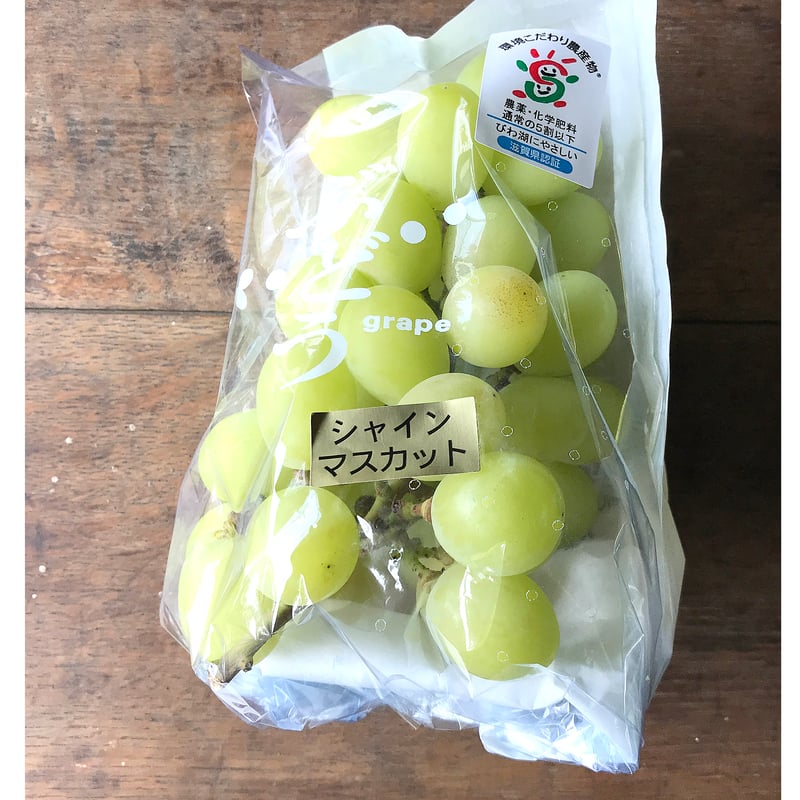 シャインマスカット【白箱 1.7kg 3〜5房入り 】 | たけきん果樹園 PLUS