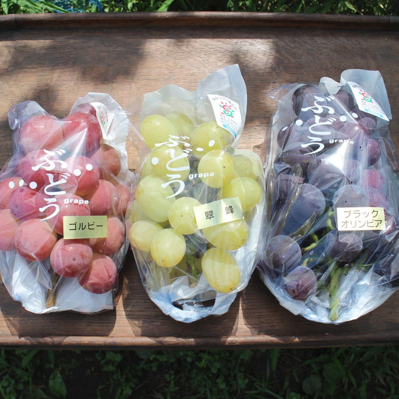 ゴルビー【 白箱・1.7kg 3〜5房入り 】☆すぐお送りできます | たけ