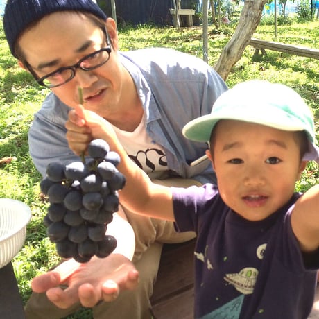 ベリーＡ【 白箱  1.7kg ４〜５房入り 】　☆すぐにお届けできます