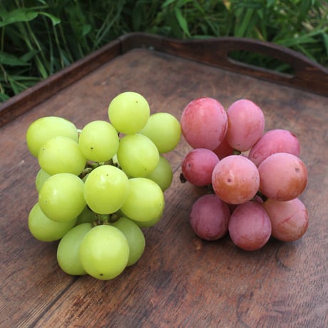 クイーンニーナ【 白箱・1.7kg  ３〜５房入り 】　☆ご予約☆