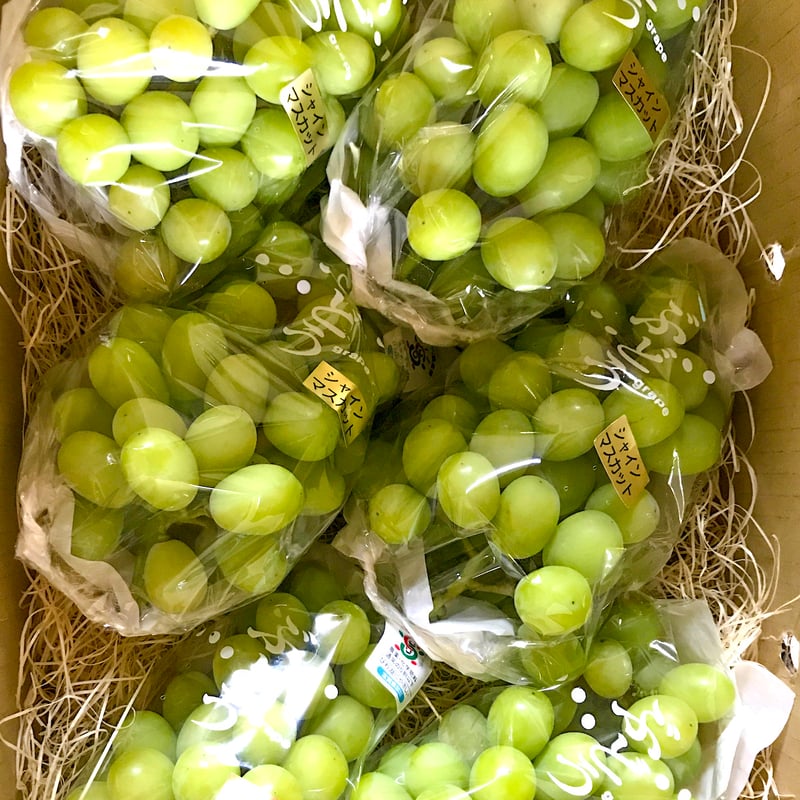 シャインマスカット【白箱 1.7kg 3〜5房入り 】 | たけきん果樹園 PLUS
