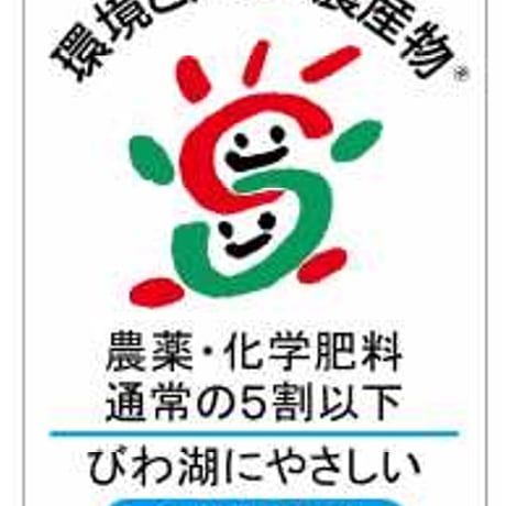 ブドウ竜宝【 １kg箱・Ｌサイズ ×２房入り 】　☆ご予約☆