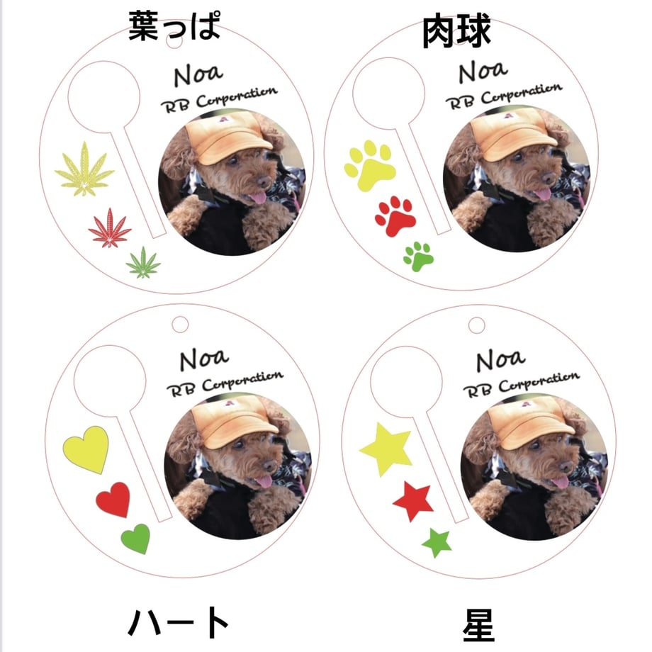 67bd6918f3e168060b31a487