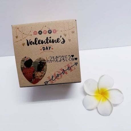 \\Gift  Box//