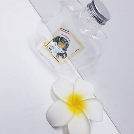 \\My Bottle//