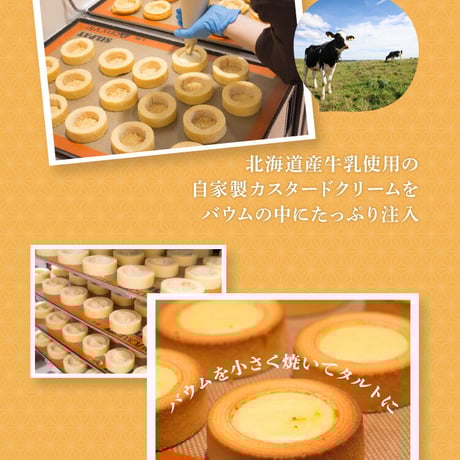 カスターインブリュレ10個セット