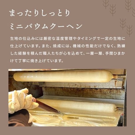 ひとひらお菓子ギフト⑧