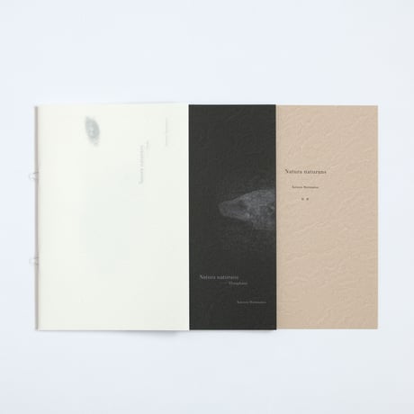【希少】村松桂 写真集 Kosmokrator アトリエ空中線造本 限定200部 村松桂 | STORES