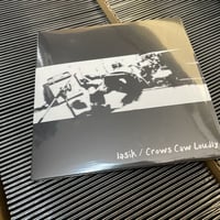 Crows Caw Loudly / Lasik - Split (CD)