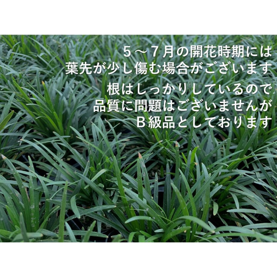 62d90f160f683c60286ae743