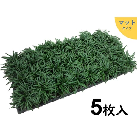 タマリュウ専門店