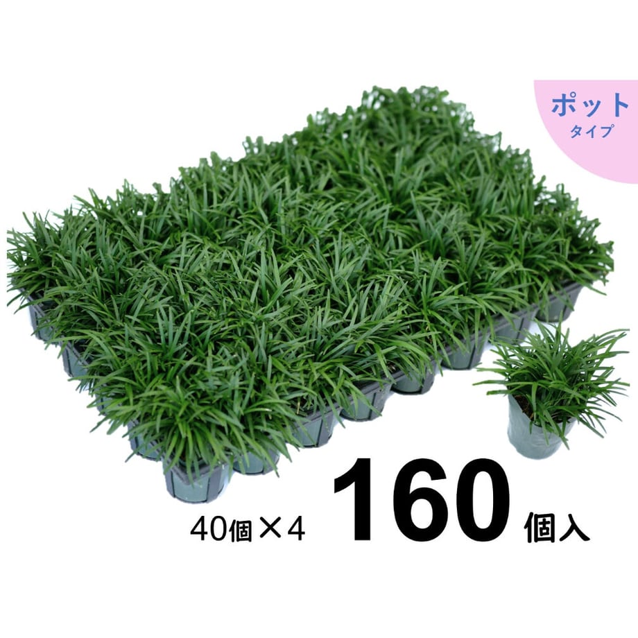 62d90f160f683c60286ae743