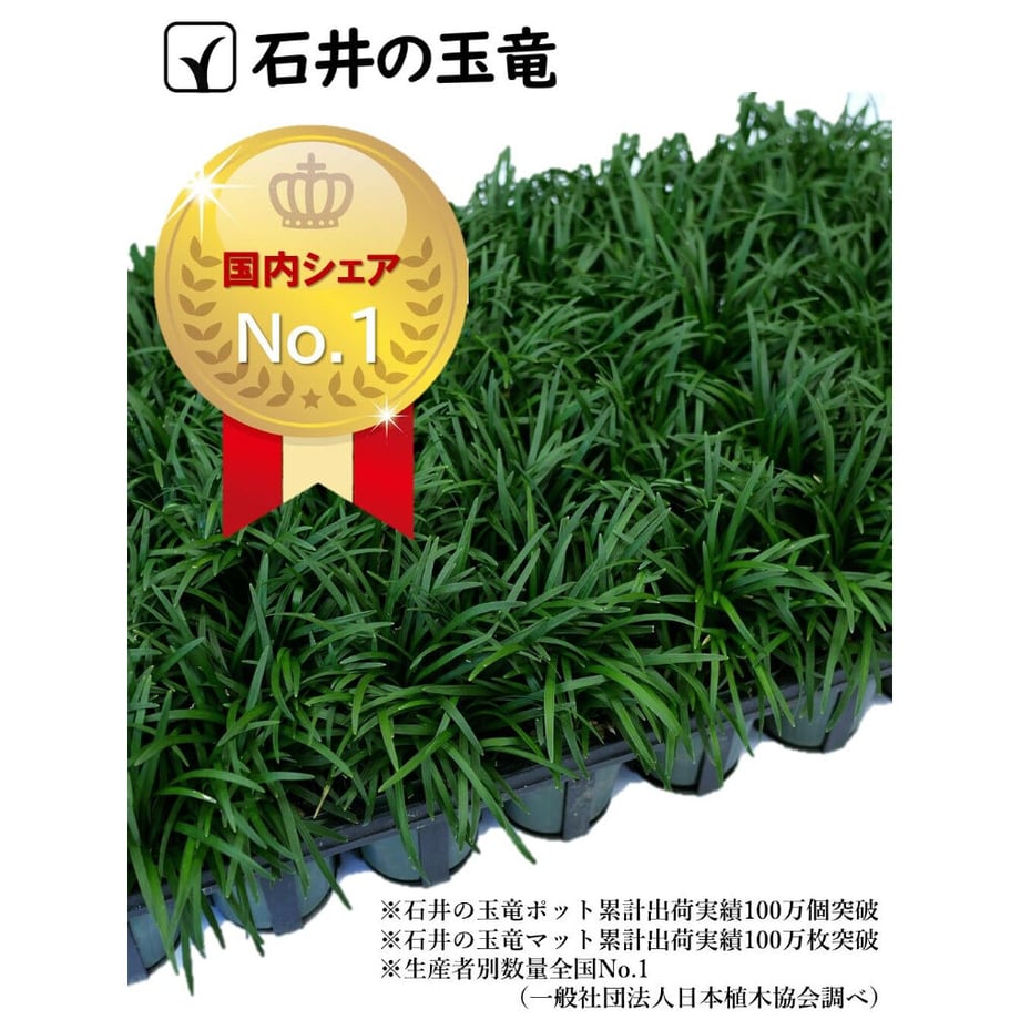 62d90f160f683c60286ae743