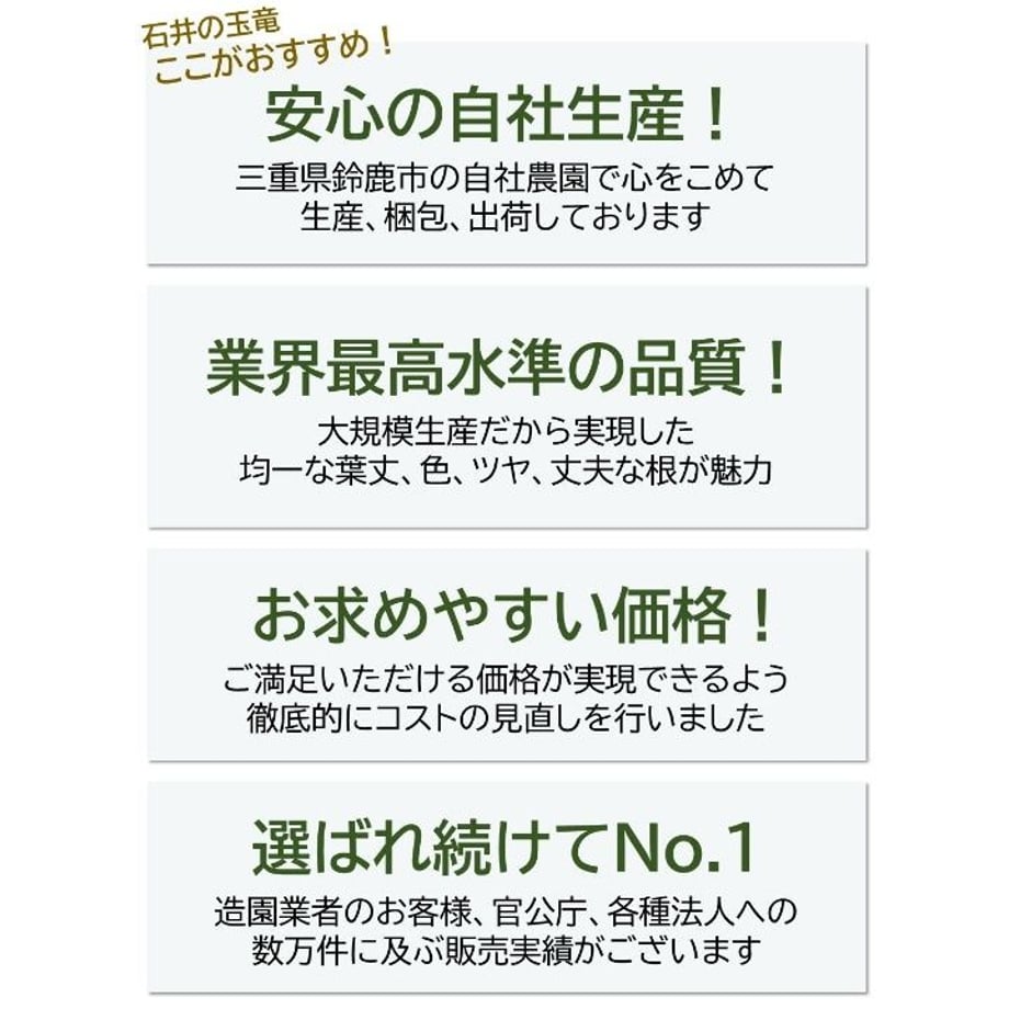 5e24608168d16323bc9fd006