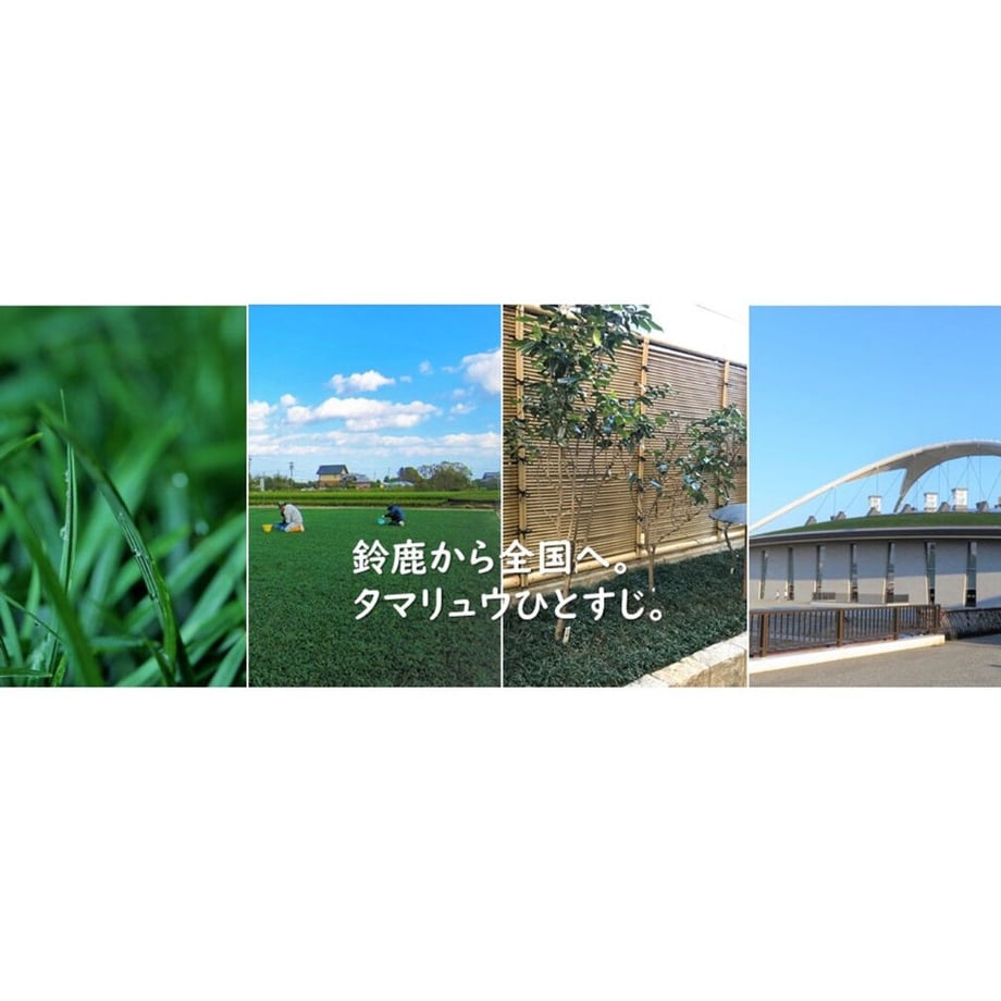 5e24608168d16323bc9fd006