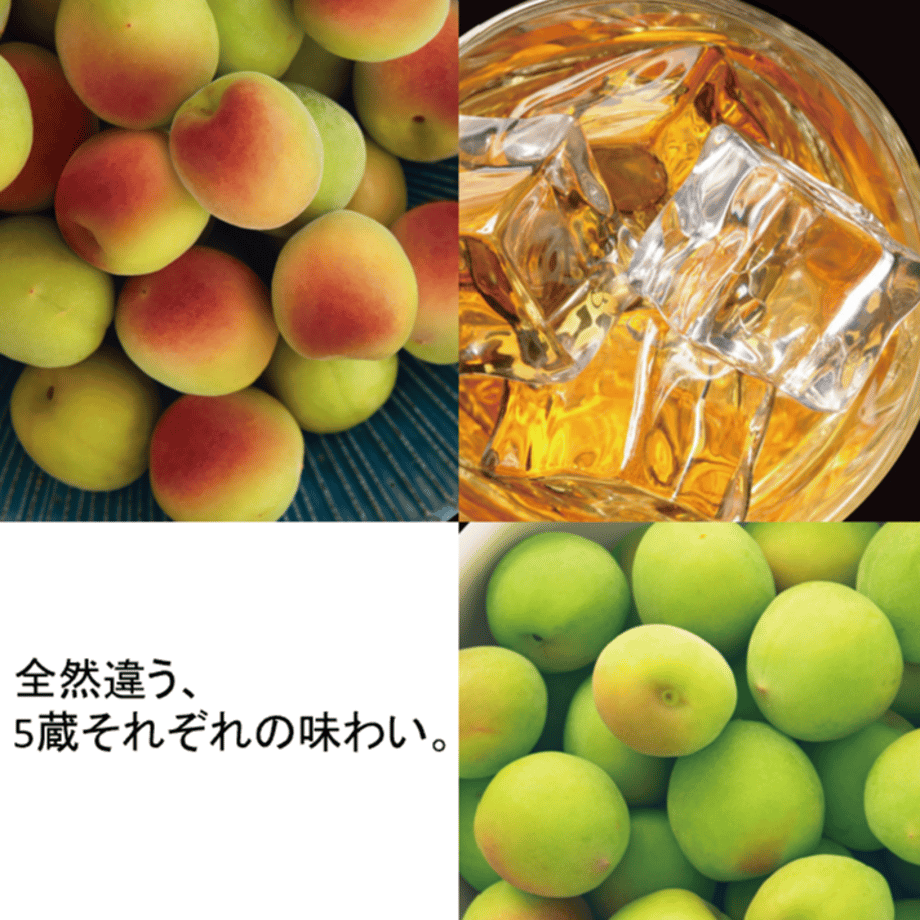 63eb69843313d26f2b8b09fc