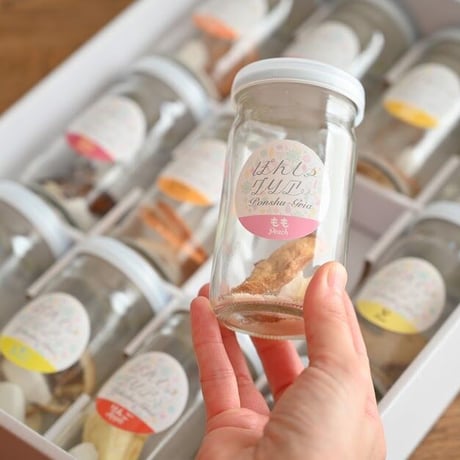 【ギフトBOX入り】ぽんしゅグリア 12本ギフトBOXセット