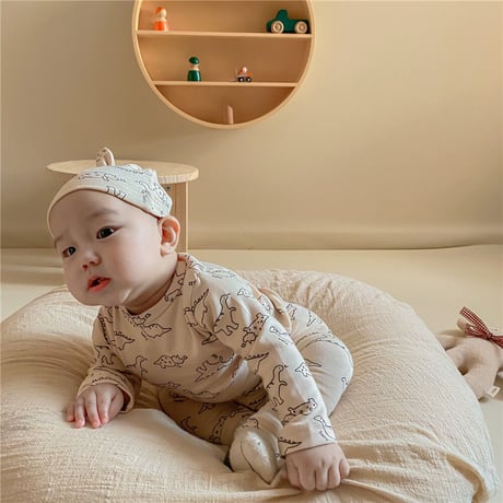 <予約商品/一部即納あり>恐竜セットアップ
