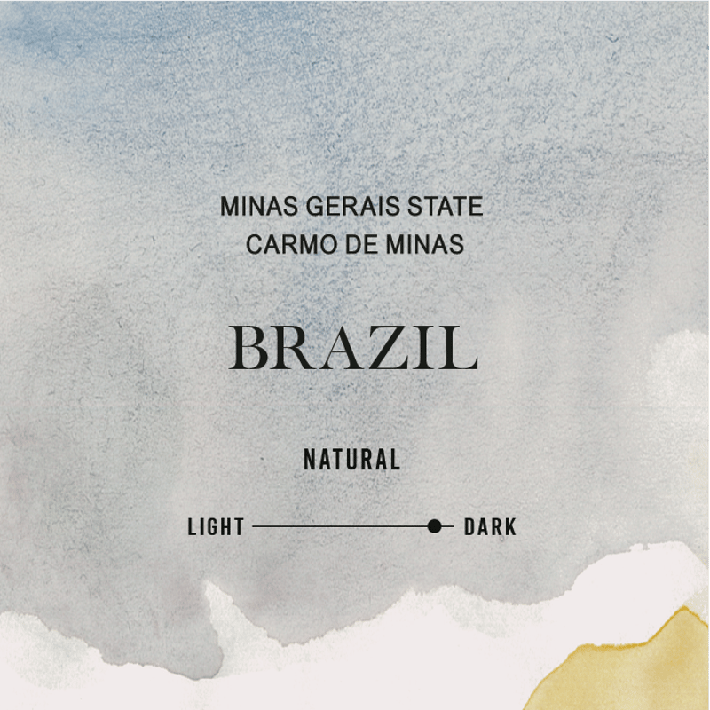 250g / 【ブラジル】：カルモデミナス カルモ農園 ナチュラル【中深