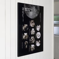 10M10D - black(A1)