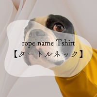 【タートルネック】rope name Tshirt【ネックデザイン】