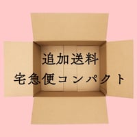 【追加送料　宅急便コンパクト】