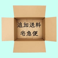 【追加送料　宅急便60サイズ】