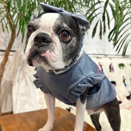 denim ribbon