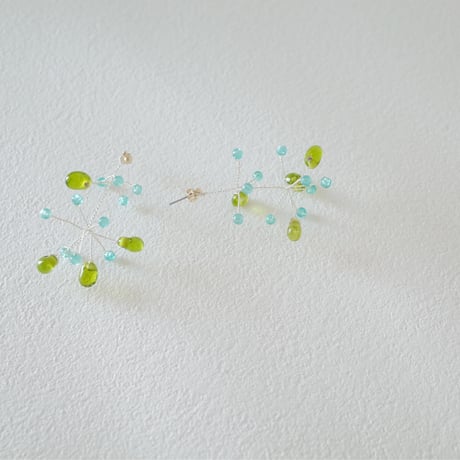 microcosm lime