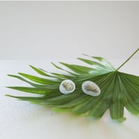 umi tsutsumi 01