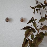 madagascar & akichi 05