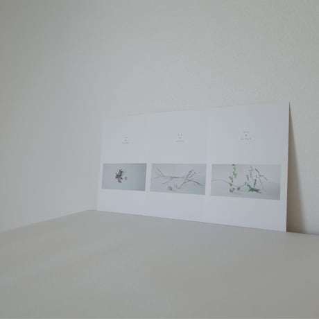 sea & kofun 03
