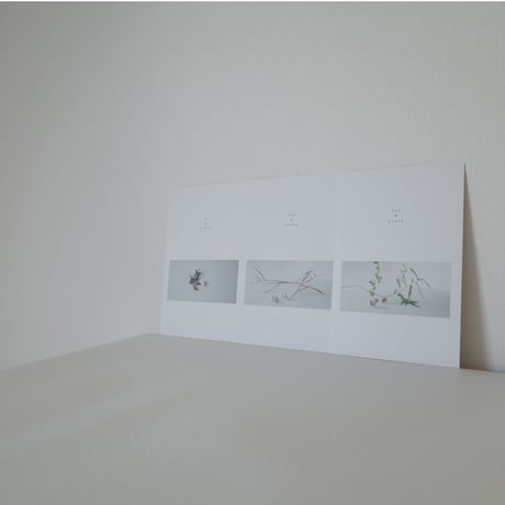 sea & kofun 01