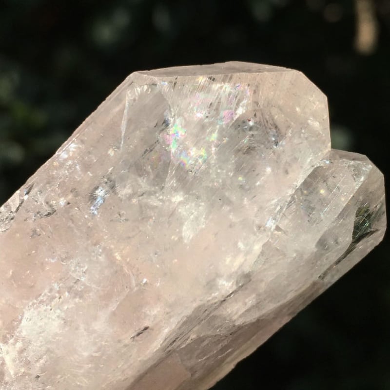 天使の石 ピンクダンビュライト【波動上げ器♡】 | Haltija