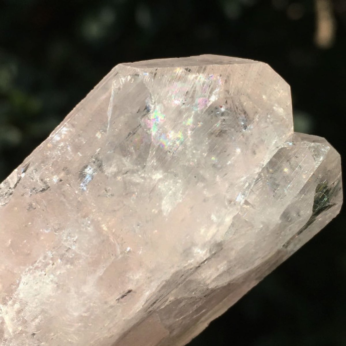 天使の石 ピンクダンビュライト【波動上げ器♡】 | Haltija （ﾊﾙﾃｨﾔ）